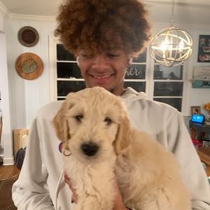 Meet your Posher, Austin